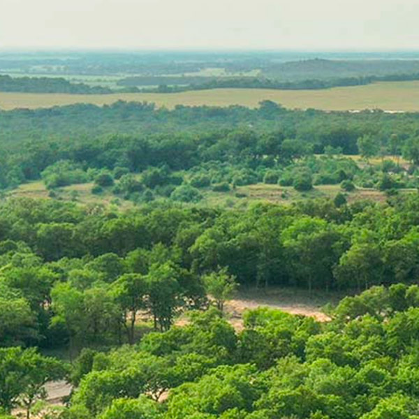 Iron Oak Reserve