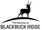 blackbuck
