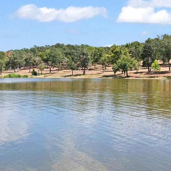 East Lake Shores