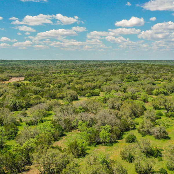 Live Oak Ranches