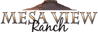mesaview