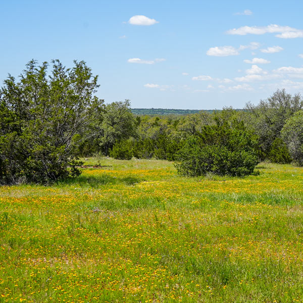 Sawmill Ridge